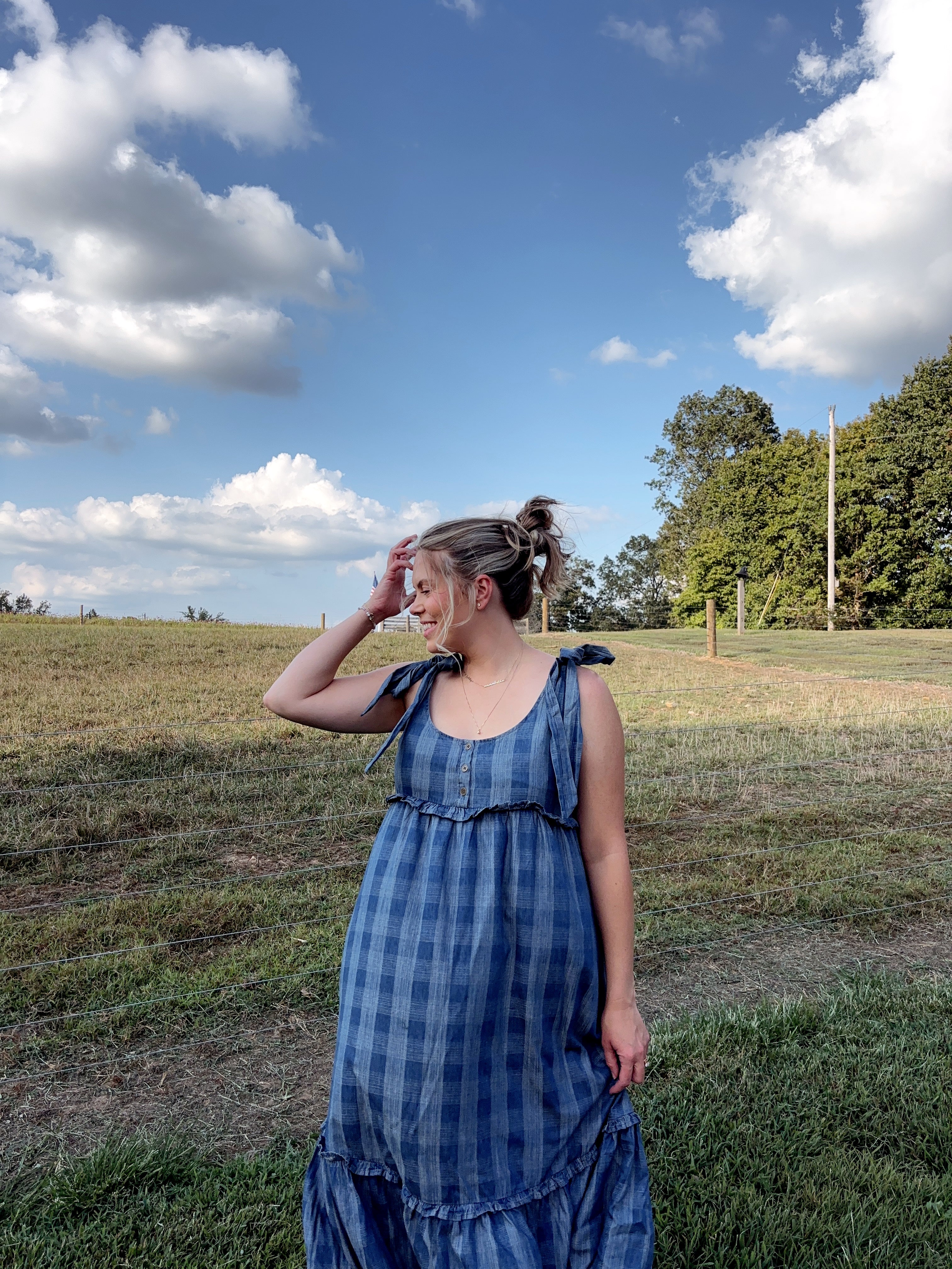 Checking In Denim Dress
