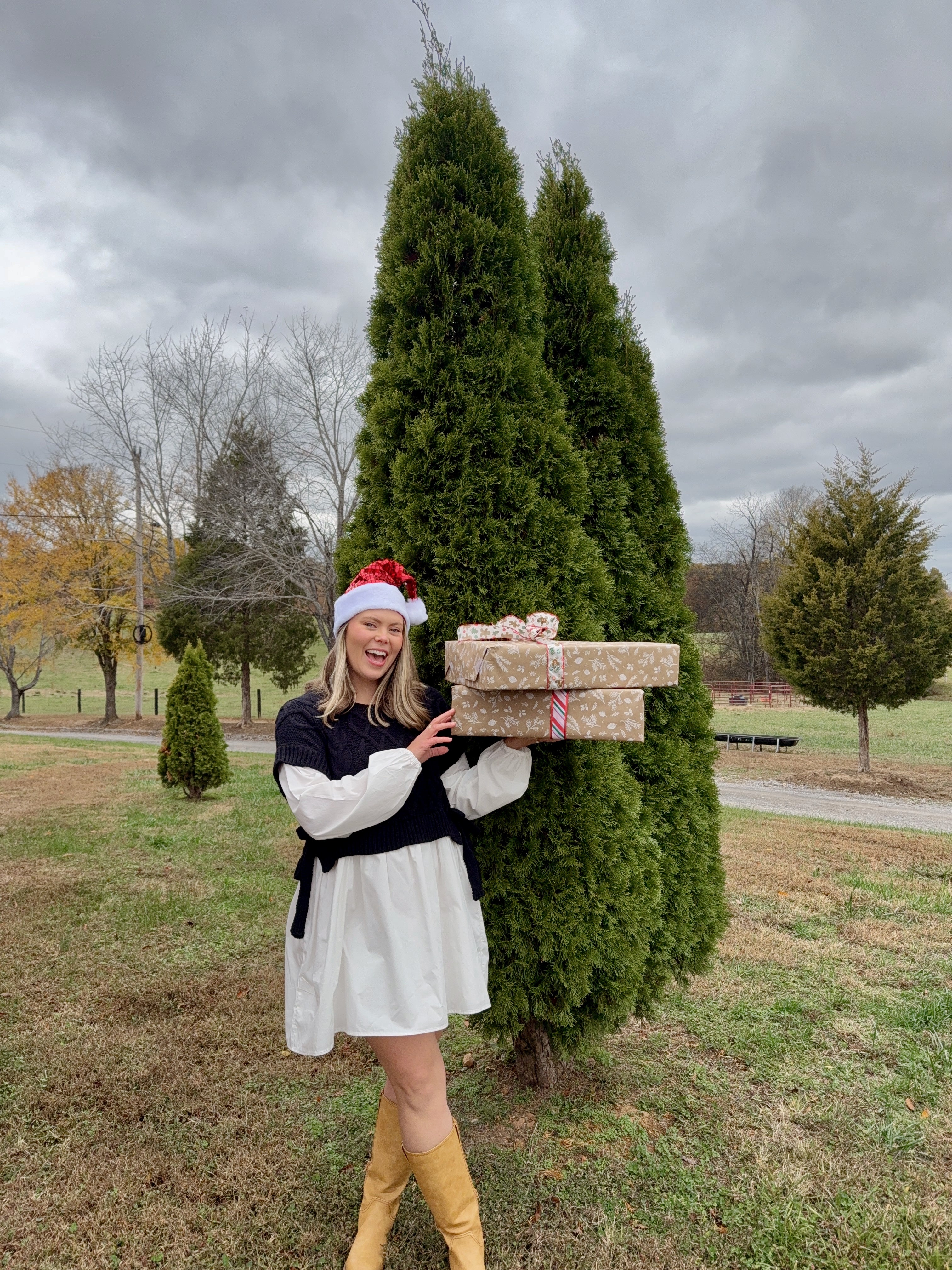 Aven Sweater Mini Dress