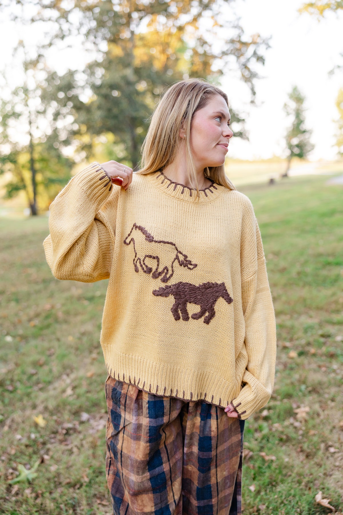 Howdy Honey Sweater