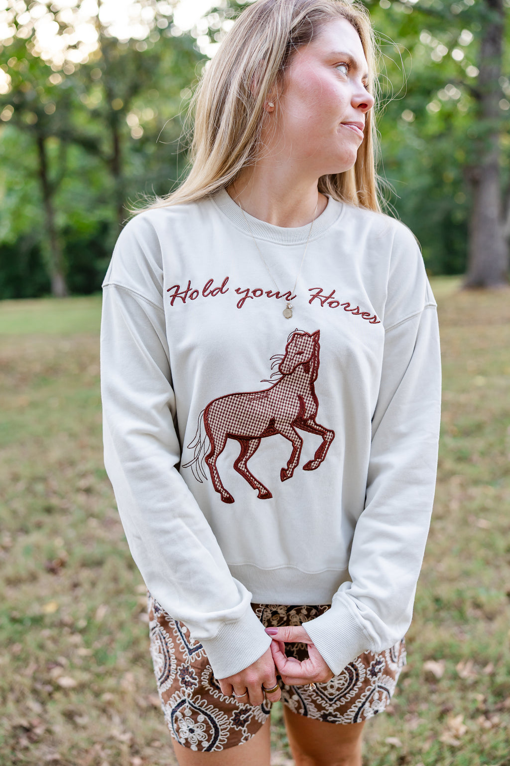 Hold Your Horses Pullover